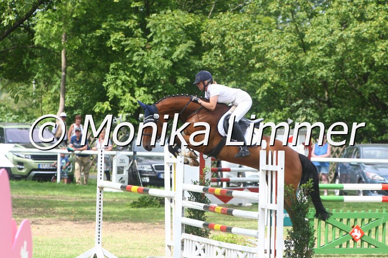 308M5181_Chacco De Semilly_Springpferde Mx.JPG